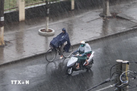 Cơn mưa nặng hạt xuất hiện tại thành phố Tân An (Long An). (Ảnh: Bùi Như Trường Giang/TTXVN)