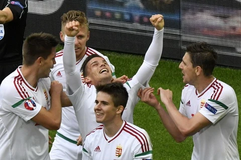 Các cầu thủ Hungary ăn mừng sau khi ghi bàn vào lưới đội tuyển Áo trong trận đấu thuộc bảng F EURO 2016. (Nguồn: AFP)