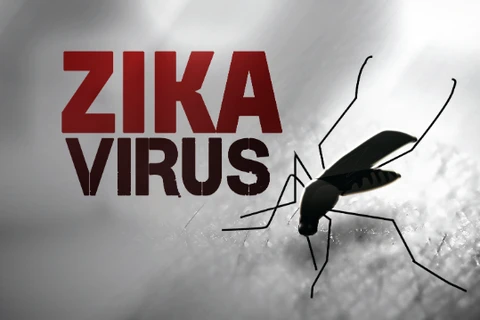 Mỹ thử thành công vắcxin phòng chống virus Zika trên động vật 