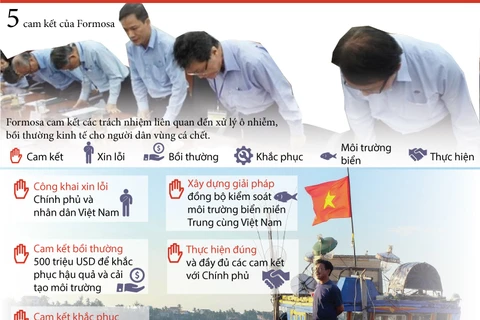 [Infographics] 5 cam kết của Formosa trong xử lý vụ cá chết