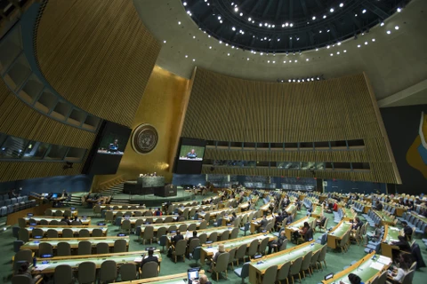 Một phiên họp của Đại hội đồng Liên hợp quốc. (Nguồn: Liên hợp quốc)