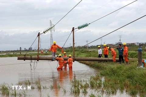 Công nhân Công ty Lưới điện Cao thế miền Bắc xử lý sự cố đổ cột đường dây 110 kV trên địa bàn tỉnh Nam Định. (Ảnh: Ngọc Hà/TTXVN)