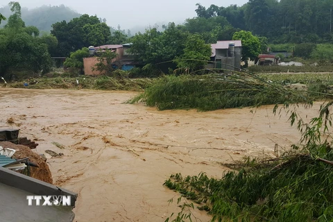 Nước lên cao tại Ngòi Đum chảy qua xã Đồng Tuyên (thành phố Lào Cai). (Ảnh: Lục Thu Hương/TTXVN)