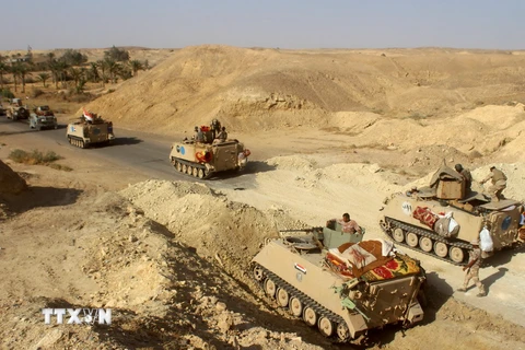 Các lực lượng Chính phủ Iraq tiến về thành phố Mosul từ khu vực Anbar ngày 10/10. (Nguồn: AFP/TTXVN)