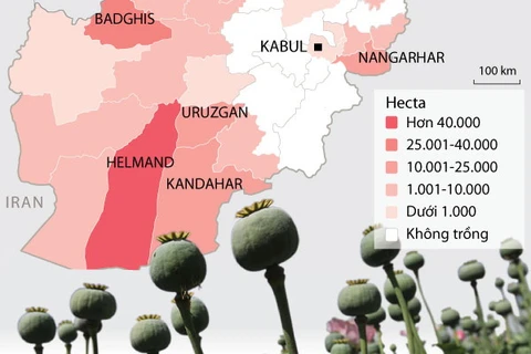 [Infographics] Afghanistan đang thua trong cuộc chiến ma túy