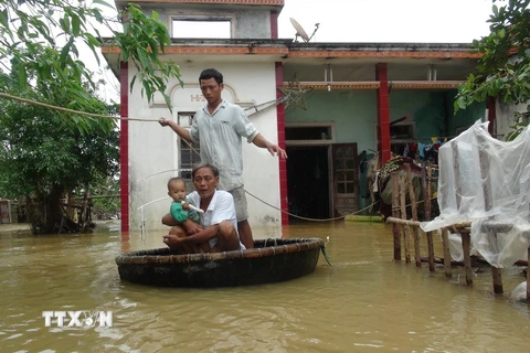 Người dân tại các xã vùng Nam Thị xã Ba Đồn, Quảng Bình phải dùng thúng để di chuyển trong vùng ngập lụt. (Ảnh: Đức Thọ/TTXVN)