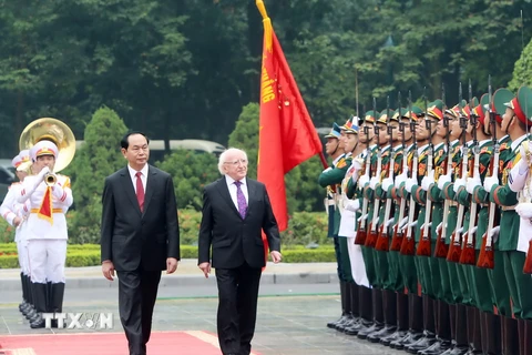 Chủ tịch nước Trần Đại Quang và Tổng thống Michael D. Higgins duyệt Đội danh dự Quân đội Nhân dân Việt Nam, tại lễ đón. (Ảnh: Nhan Sáng/TTXVN)