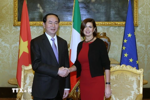 Chủ tịch nước Trần Đại Quang hội kiến với Chủ tịch Hạ viện Cộng hòa Italy Laura Boldrini. (Ảnh: Nhan Sáng/TTXVN)