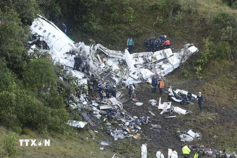 Hiện trường vụ tai nạn máy bay ở La Union, Colombia. (Nguồn: AP/TTXVN)