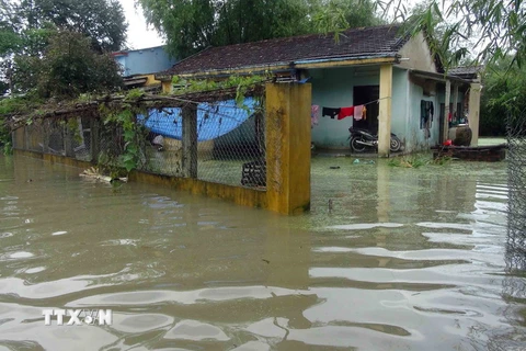 Mưa lớn gây ngập lụt trên diện rộng ở huyện Phú Ninh, Quảng Nam, ngày 3/12. (Ảnh: Đỗ Trưởng/TTXVN)