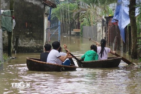 Thúng là phương tiện đi lại của người dân vùng ngập lụt Quảng Ngãi. (Ảnh: Phước Ngọc/TTXVN)