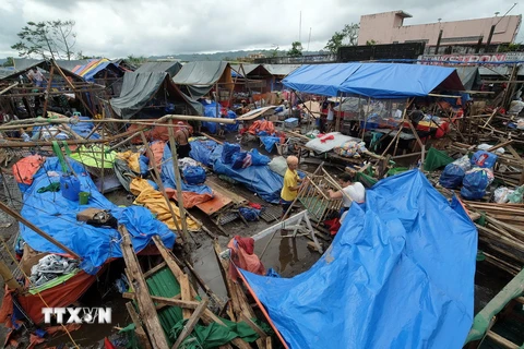 Cảnh tàn phá sau khi bão Nock-Ten quét qua ở thị trấn Polangui, tỉnh Albay ngày 26/12. (Nguồn: EPA/TTXVN)