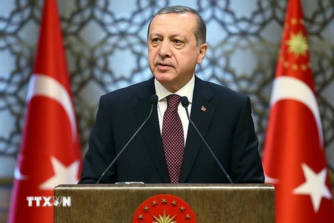 Tổng thống Thổ Nhĩ Kỳ Tayyip Erdogan phát biểu nhân dịp Năm mới 2017 ở Ankara ngày 1/1/2017. (Nguồn: Anadolu Agency/TTXVN)