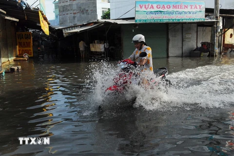 Nước ngập sâu trên đường phố Thành phố Hồ Chí Minh do triều cường. (Ảnh: Mạnh Linh/TTXVN)