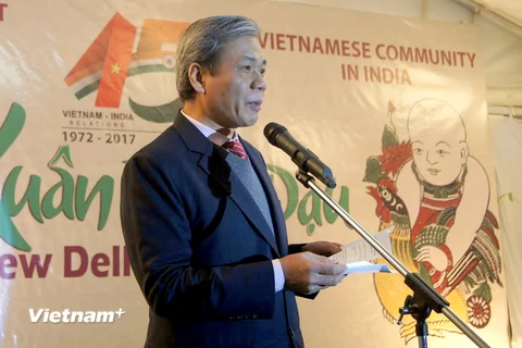 Đại sứ Tôn Sinh Thành phát biểu tại lễ kỷ niệm. (Ảnh: Huy Bình/Vietnam+)
