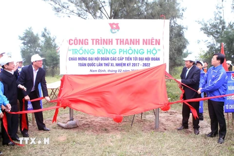 Phó Thủ tướng Trương Hòa Bình và các đại biểu thực hiện nghi thức khánh thành Công trình Thanh niên "Trồng rừng phòng hộ." (Ảnh: Phạm Kiên/TTXVN)