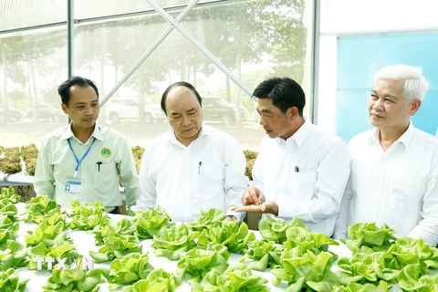 Thủ tướng Nguyễn Xuân Phúc đến thăm Trung tâm Nông nghiệp công nghệ cao tỉnh Bình Phước. (Ảnh:Thống Nhất/TTXVN)