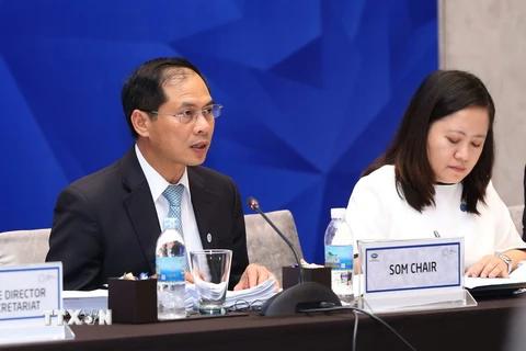 Chủ tịch SOM APEC 2017 Bùi Thanh Sơn phát biểu. (Ảnh: Doãn Tấn/TTXVN)