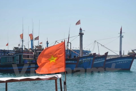 Tàu cá của ngư dân Lý Sơn. (Ảnh: Thùy Giang/Vietnam+)
