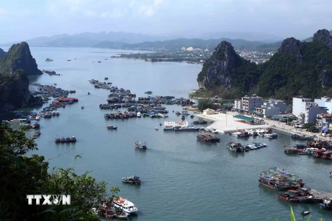 Đảo Cái Bầu, đảo trung tâm của Khu kinh tế Vân Đồn. (Ảnh: Minh Quyết/TTXVN)