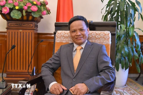 Đại sứ Nguyễn Hồng Thao. (Ảnh: TTXVN/phát)