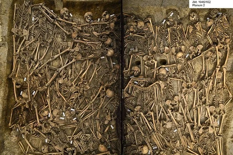 Phát hiện chấn động từ ngôi mộ tập thể chiến binh thế kỷ 17 ở Đức