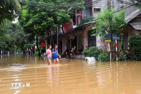 Nước sông Thao dâng cao gây ngập lụt nhiều khu vực tại thành phố Yên Bái. (Ảnh: Thế Duyệt/TTXVN)