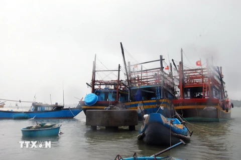Các tàu cá neo đậu tại Trạm kiểm soát Biên phòng Bắc Sơn, xã Trung Giang, huyện Gio Linh. (Ảnh: Thanh Thủy/TTXVN)