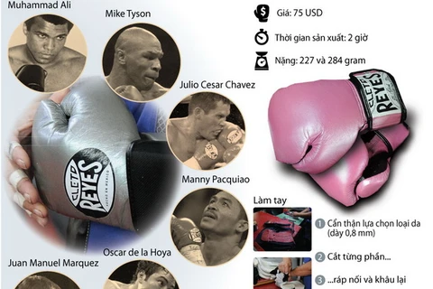 [Infographics] Cleto Reyes - Găng tay boxing huyền thoại
