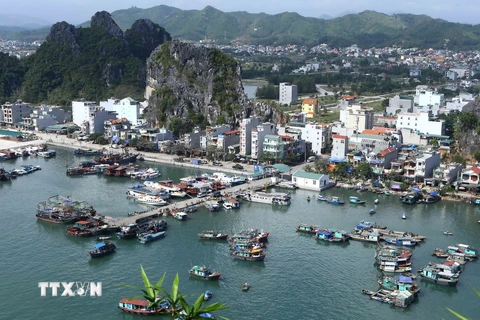 Đảo Cái Bầu là đảo trung tâm của khu kinh tế Vân Đồn, Quảng Ninh. (Ảnh: Minh Quyết/TTXVN)