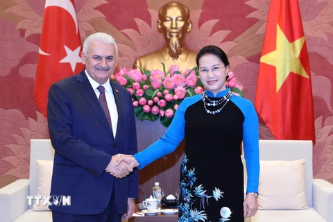Chủ tịch Quốc hội Nguyễn Thị Kim Ngân tiếp Thủ tướng Cộng hòa Thổ Nhĩ Kỳ Binali Yildirim đang thăm chính thức Việt Nam. (Ảnh: Trọng Đức/TTXVN)