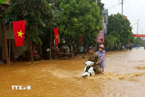 Nhiều tuyến đường ở thị trấn Sơn Dương, huyện Sơn Dương bị ngậm lụt cục bộ. (Ảnh: Văn Tý/TTXVN)