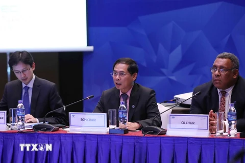 Thứ trưởng Bộ Ngoại giao Bùi Thanh Sơn (giữa) phát biểu khai mạc cuộc họp. (Ảnh: Phương Hoa/TTXVN)