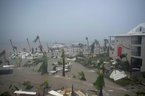 Bão Irma tấn công đảo Saint Martin ở Caribe. (Nguồn: AFP)