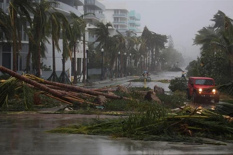 Siêu bão Irma tấn công bang Florida, ngày 10/9. (Nguồn: Getty Images)