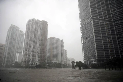 Siêu bão Irma tấn công, gây ngập lụt khu trung tâm Miami, Florida, ngày 10/9. (Nguồn: Reuters)