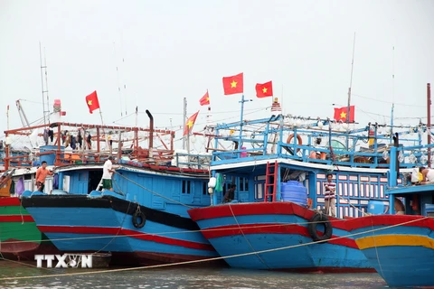 Tàu thuyền được người dân đưa vào khu neo đậu tại âu thuyền Cảng Cửa Việt. (Ảnh: Trần Tĩnh/TTXVN)