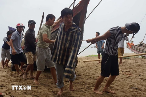 Người dân kéo tàu thuyền lên bờ tránh bão số 10 ở Thanh Hóa. (Ảnh: Trịnh Duy Hưng/TTXVN)