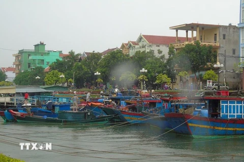 Ngư dân Quảng Bình đang neo đậu, gia cố tàu thuyền an toàn trước khi bão đổ bộ vào bờ. (Ảnh: Võ Dung/TTXVN)