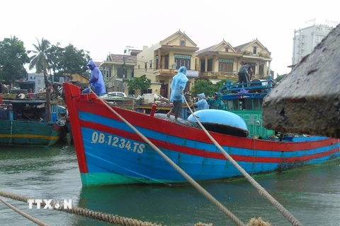 Ngư dân Quảng Bình đang neo đậu, gia cố tàu thuyền an toàn trước khi bão đổ bộ vào bờ. (Ảnh: Võ Dung/TTXVN)