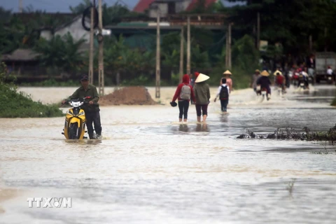 Hình ảnh các tỉnh, thành phố bị ngập lụt nặng do áp thấp nhiệt đới