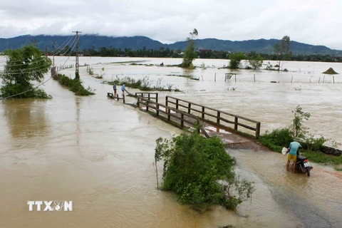 Áp thấp nhiệt gây mưa lớn, nước lũ dâng cao ở Nghệ An. (Ảnh: Thanh Tùng/TTXVN)