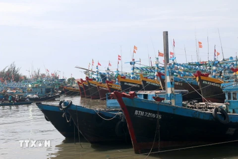 Tàu thuyền neo đậu trú bão trên sông Cà Ty, Phan Thiết. (Ảnh: Nguyễn Thanh/TTXVN)