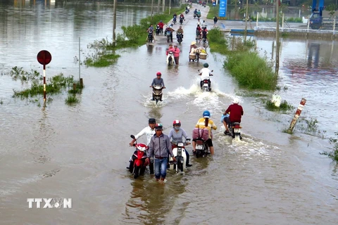 Cảnh ngập lụt ở Phú Yên. (Ảnh: Thế Lập/TTXVN)
