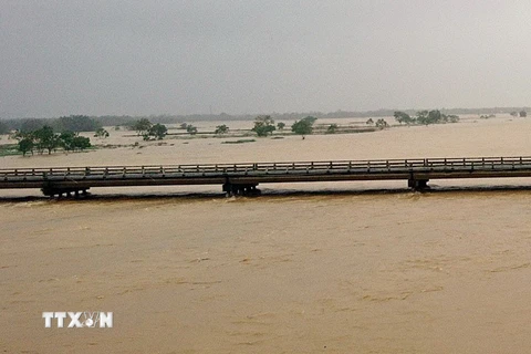 Nước sông Thu Bồn dâng cao đoạn cầu Câu Lâu, thị xã Điện Bàn, Quảng Nam. (Ảnh: Đỗ Văn Trưởng/TTXVN)