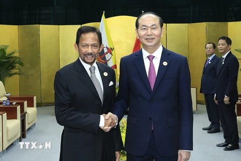 Chủ tịch nước Trần Đại Quang gặp song phương với Quốc vương Brunei Sultan Hagi Hassanal Bolkiah. (Nguồn: TTXVN)