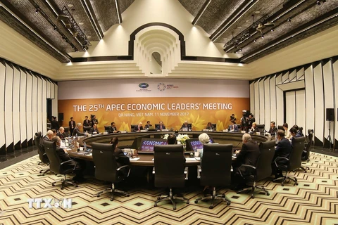 Chủ tịch nước Trần Đại Quang, Chủ tịch Hội nghị Cấp cao APEC lần thứ 25 chủ trì phiên họp. (Nguồn: TTXVN)