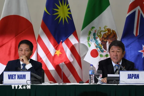 Bộ trưởng Công thương Việt Nam Trần Tuấn Anh (trái) và Bộ trưởng Bộ Tái thiết kinh tế Nhật Bản Toshimitsu Motegi tại cuộc họp báo TPP ở Đà Nẵng ngày 11/11. (Nguồn: AFP/TTXVN)