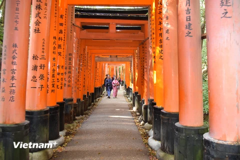 Chiêm ngưỡng ngôi đền cổ nghìn cổng Fushimi Inari ở Nhật Bản