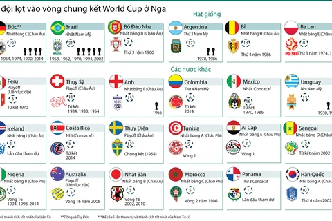 [Infographics] Thành tích của 32 đội lọt vào vòng chung kết World Cup